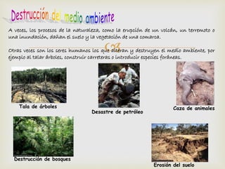 A veces, los procesos de la naturaleza, como la erupción de un volcán, un terremoto o 
una inundación, dañan el suelo y la vegetación de una comarca. 
 
Otras veces son los seres humanos los que alteran y destruyen el medio ambiente, por 
ejemplo al talar árboles, construir carreteras o introducir especies foráneas. 
Tala de árboles Caza de animales 
Desastre de petróleo 
Erosión del suelo 
Destrucción de bosques 
 