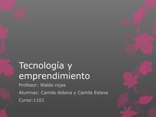 Tecnología y
emprendimiento
Profesor: Waldo rojas
Alumnas: Camila Aldana y Camila Eslava
Curso:1101
 