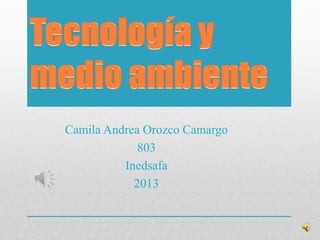 Camila Andrea Orozco Camargo
803
Inedsafa
2013
 