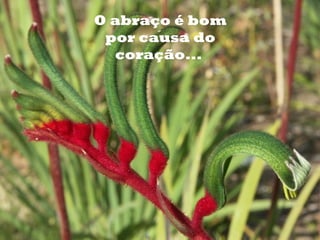 o   O abraço é bom
     por causa do
      coração...
 
