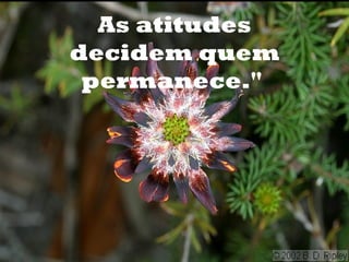 As atitudes
decidem quem
 permanece."
 