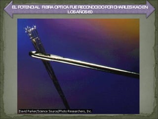 EL POTENCIAL  FIBRA OPTICA FUE RECONOCIDO POR CHARLES KAO EN LOS AÑOS 60 