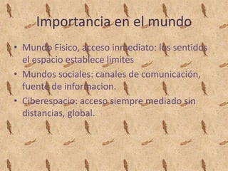 Importancia en el mundoMundo Fisico, acceso inmediato: los sentidos el espacio establece limitesMundos sociales: canales de comunicación, fuente de informacion.Ciberespacio: acceso siempre mediado sin distancias, global.
