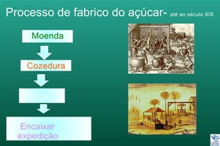 Processo de fabrico do açúcar- até ao século XIX
Moenda
Cozedura
Purga
Encaixar
expedição
 