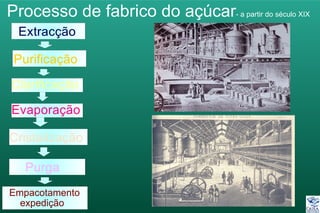 Processo de fabrico do açúcar- a partir do século XIX
Extracção
Purificação
Clarificação
Evaporação
Cristalização
Purga
Empacotamento
expedição
 