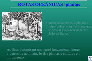 ROTAS OCEÂNICAS -plantas
P"todas as sementes e plantas e
outras coisas com quem esperava
de povoar e assentar na terra"
.João de Barros
As ilhas assumiram um papel fundamental como
viveiros de aclimatação das plantas e culturas em
movimento.
 