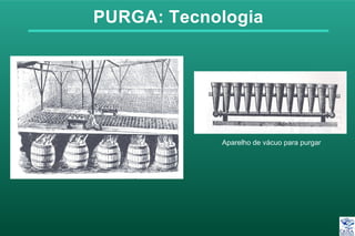 PURGA: Tecnologia
Aparelho de vácuo para purgar
 