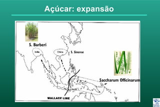 Açúcar: expansão
 