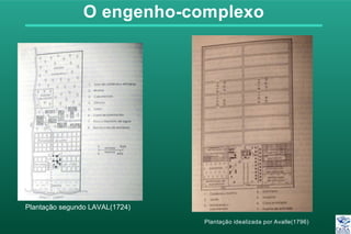 O engenho-complexo
Plantação idealizada por Avalle(1796)
Plantação segundo LAVAL(1724)
 
