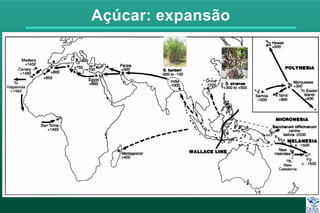 Açúcar: expansão
 