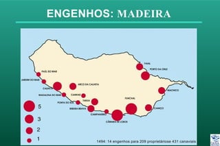 ENGENHOS: MADEIRA
1494: 14 engenhos para 209 proprietáriose 431 canaviais
 