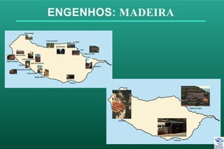 ENGENHOS: MADEIRA
 