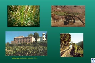 Trilogia rural Lombada de J. Esmeraldo. 1474
 