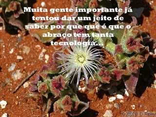 Muita gente importante já
      tentou dar um jeito de
o
    saber por que que é que o
        abraço tem tanta
          tecnologia...
 