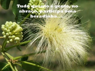 o   Tudo quanto é gente, no
     abraço, participa uma
         beradinha....
 