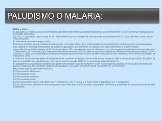 PALUDISMO O MALARIA: 
Datos y cifras 
El paludismo, o malaria, es una enfermedad potencialmente mortal causada por parásitos que se transmiten al ser humano por lapicadura de 
mosquitos infectados. 
En 2012, el paludismo causó cerca de 627 000 muertes (con un margen de incertidumbre que oscila entre 473 000 y 789 000), sobre todo en 
niños africanos. 
El paludismo es prevenible y curable. 
Gracias al aumento de las medidas de prevención y control la carga de la enfermedad se está reduciendo notablemente en muchoslugares. 
Los viajeros no inmunes procedentes de zonas sin paludismo que contraen la infección son muy vulnerables a la enfermedad. 
Según las últimas estimaciones, en 2012 se produjeron 207 millones de casos de paludismo (con un margen de incertidumbre que oscila entre 
135 millones y 287 millones) que ocasionaron la muerte de unas 627 000 personas (con un margen de incertidumbre que oscila entre 473 000 y 
789 000). La tasa de mortalidad por malaria se ha reducido en más de un 45% desde el año 2000 a nivel mundial, y en un 49% enla Región de 
África de la OMS. 
La mayoría de las muertes se producen entre niños que viven en África, donde cada minuto muere un niño a causa del paludismo.En África, la 
tasa de mortalidad por paludismo en niños se ha reducido desde 2000 en un porcentaje estimado del 54%. 
El paludismo es causado por parásitos del género Plasmodium que se transmiten al ser humano por la picadura de mosquitos infectados del 
género Anopheles, los llamados vectores del paludismo, que pican sobre todo entre el anochecer y el amanecer. 
Hay cuatro tipos de paludismo humano: 
Por Plasmodium falciparum; 
Por Plasmodium vivax; 
Por Plasmodium malariae; 
Por Plasmodium ovale. 
Los más frecuentes son el paludismo por P. falciparum y por P. vivax, y el más mortal el paludismo por P. falciparum. 
En los últimos años también ha habido algunos casos humanos por P. knowlesi, un parásito del mono que aparece en zonas boscosas de Asia 
Sudoriental. 
 