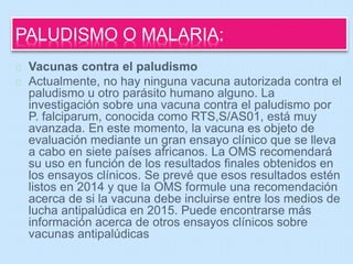 PALUDISMO O MALARIA: 
Vacunas contra el paludismo 
Actualmente, no hay ninguna vacuna autorizada contra el 
paludismo u otro parásito humano alguno. La 
investigación sobre una vacuna contra el paludismo por 
P. falciparum, conocida como RTS,S/AS01, está muy 
avanzada. En este momento, la vacuna es objeto de 
evaluación mediante un gran ensayo clínico que se lleva 
a cabo en siete países africanos. La OMS recomendará 
su uso en función de los resultados finales obtenidos en 
los ensayos clínicos. Se prevé que esos resultados estén 
listos en 2014 y que la OMS formule una recomendación 
acerca de si la vacuna debe incluirse entre los medios de 
lucha antipalúdica en 2015. Puede encontrarse más 
información acerca de otros ensayos clínicos sobre 
vacunas antipalúdicas 
 