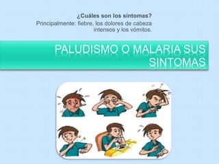 ¿Cuáles son los síntomas? 
Principalmente: fiebre, los dolores de cabeza 
intensos y los vómitos. 
PALUDISMO O MALARIA SUS 
SINTOMAS 
 