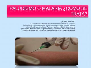 PALUDISMO O MALARIA ¿COMO SE 
TRATA? 
¿Cómo se trata? 
Si no se trata esta enfermedad con la medicación correcta 
(artemisina) puede poner en peligro la vida en poco tiempo porque 
altera los órganos vitales. Por eso es importante que ante la 
presencia de síntomas en personas que habitan o han estado en 
zonas de riesgo se consulte rápidamente a un centro de salud. 
 