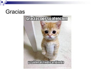 Gracias
 