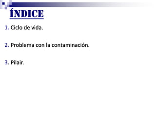 ÍNDICE
1. Ciclo de vida.
2. Problema con la contaminación.
3. Pilair.
 