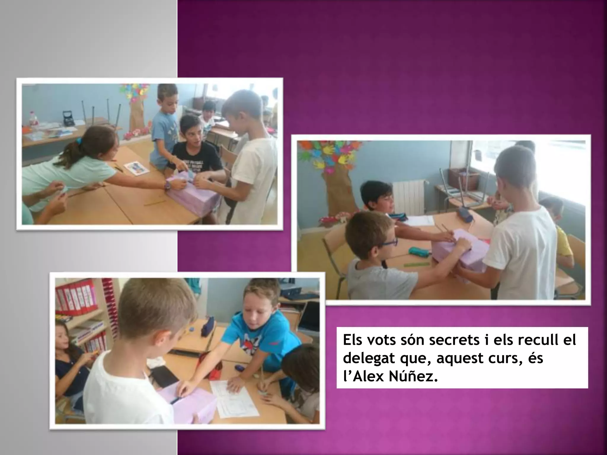 Els vots són secrets i els recull el
delegat que, aquest curs, és
l’Alex Núñez.
 