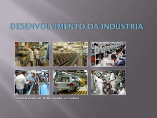 Indústria alimentar, têxtil, calçado, automóvel
 