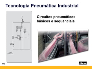 145
Tecnologia Pneumática Industrial
Circuitos pneumáticos
básicos e sequenciais
 
