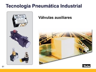 81
Tecnologia Pneumática Industrial
Válvulas auxiliares
 