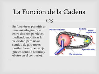 
La Función de la Cadena
 Su función es permitir un
movimiento giratorio
entre dos ejes paralelos,
pudiendo modificar la
velocidad pero no al
sentido de giro (no es
posible hacer que un eje
gire en sentido horario y
el otro en el contrario).

 