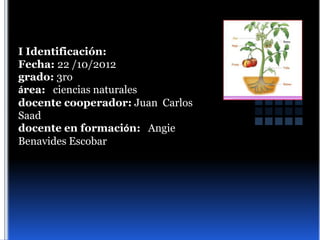 I Identificación:
Fecha: 22 /10/2012
grado: 3ro
área: ciencias naturales
docente cooperador: Juan Carlos
Saad
docente en formación: Angie
Benavides Escobar
 