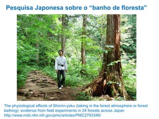 The physiological effects of Shinrin-yoku (taking in the forest atmosphere or forest
bathing): evidence from field experiments in 24 forests across Japan
http://www.ncbi.nlm.nih.gov/pmc/articles/PMC2793346/
Pesquisa Japonesa sobre o “banho de floresta”
 