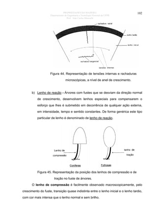 PROPRIEDADES DA MADEIRA
Departamento de Engenharia e Tecnologia Florestal da UFPR
Prof. João Carlos Moreschi

102

Figura 44. Representação de tensões internas e rachaduras
microscópicas, a nível de anel de crescimento.

b) Lenho de reação - Árvores com fustes que se desviam da direção normal
de crescimento, desenvolvem lenhos especiais para compensarem o
esforço que lhes é submetido em decorrência de qualquer ação externa,
em intensidade, tempo e sentido constantes. De forma genérica este tipo
particular de lenho é denominado de lenho de reação.

Figura 45. Representação da posição dos lenhos de compressão e de
tração no fuste de árvores.
O lenho de compressão é facilmente observado macroscopicamente, pelo
crescimento do fuste, transição quase indistinta entre o lenho inicial e o lenho tardio,
com cor mais intensa que o lenho normal e sem brilho.

 