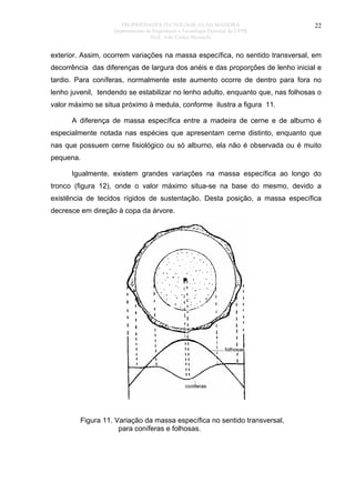 PROPRIEDADES TECNOLÓGICAS DA MADEIRA
Departamento de Engenharia e Tecnologia Florestal da UFPR
Prof. João Carlos Moreschi

22

exterior. Assim, ocorrem variações na massa específica, no sentido transversal, em
decorrência das diferenças de largura dos anéis e das proporções de lenho inicial e
tardio. Para coníferas, normalmente este aumento ocorre de dentro para fora no
lenho juvenil, tendendo se estabilizar no lenho adulto, enquanto que, nas folhosas o
valor máximo se situa próximo à medula, conforme ilustra a figura 11.
A diferença de massa específica entre a madeira de cerne e de alburno é
especialmente notada nas espécies que apresentam cerne distinto, enquanto que
nas que possuem cerne fisiológico ou só alburno, ela não é observada ou é muito
pequena.
Igualmente, existem grandes variações na massa específica ao longo do
tronco (figura 12), onde o valor máximo situa-se na base do mesmo, devido a
existência de tecidos rígidos de sustentação. Desta posição, a massa específica
decresce em direção à copa da árvore.

Figura 11. Variação da massa específica no sentido transversal,
para coníferas e folhosas.

 