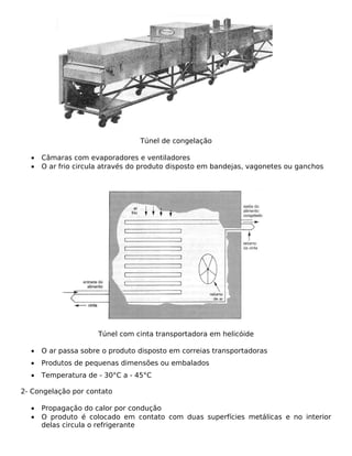 Túnel de congelação

  •   Câmaras com evaporadores e ventiladores
  •   O ar frio circula através do produto disposto em bandejas, vagonetes ou ganchos




                     Túnel com cinta transportadora em helicóide

  •   O ar passa sobre o produto disposto em correias transportadoras
  •   Produtos de pequenas dimensões ou embalados
  •   Temperatura de - 30°C a - 45°C

2- Congelação por contato

  •   Propagação do calor por condução
  •   O produto é colocado em contato com duas superfícies metálicas e no interior
      delas circula o refrigerante
 