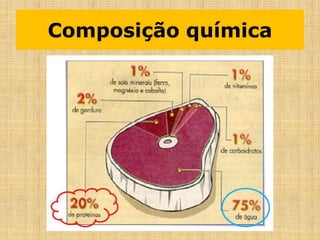 Composição química
 