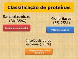 Classificação de proteínas
Sarcoplásmicas
(30-35%)
Insolúveis ou de
estroma (1-5%)
Miofibrilares
(65-75%)
Enzimas e mioglobina
Miosina e actina
Colágeno, elastina e
reticulina
 