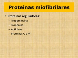 • Proteínas reguladoras:
– Tropomiosina
– Troponina
– Actininas
– Proteínas C e M
Proteínas miofibrilares
 