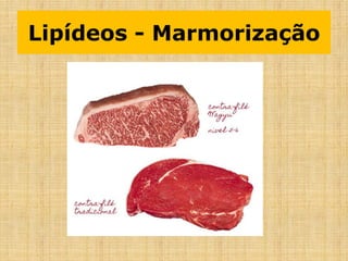 Lipídeos - Marmorização
 