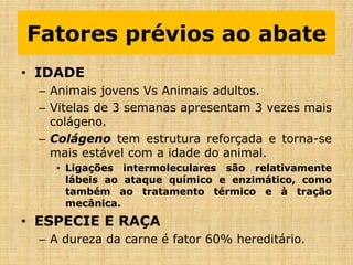 • IDADE
– Animais jovens Vs Animais adultos.
– Vitelas de 3 semanas apresentam 3 vezes mais
colágeno.
– Colágeno tem estrutura reforçada e torna-se
mais estável com a idade do animal.
• Ligações intermoleculares são relativamente
lábeis ao ataque químico e enzimático, como
também ao tratamento térmico e à tração
mecânica.
• ESPECIE E RAÇA
– A dureza da carne é fator 60% hereditário.
Fatores prévios ao abate
 