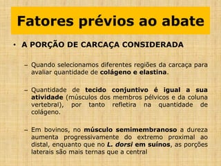• A PORÇÃO DE CARCAÇA CONSIDERADA
– Quando selecionamos diferentes regiões da carcaça para
avaliar quantidade de colágeno e elastina.
– Quantidade de tecido conjuntivo é igual a sua
atividade (músculos dos membros pélvicos e da coluna
vertebral), por tanto refletira na quantidade de
colágeno.
– Em bovinos, no músculo semimembranoso a dureza
aumenta progressivamente do extremo proximal ao
distal, enquanto que no L. dorsi em suínos, as porções
laterais são mais ternas que a central
Fatores prévios ao abate
 