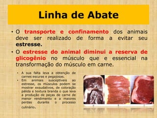 Linha de Abate
• O transporte e confinamento dos animais
deve ser realizado de forma a evitar seu
estresse.
• O estresse do animal diminui a reserva de
glicogênio no músculo que e essencial na
transformação do músculo em carne.
• A sua falta leva a obtenção de
carnes escuras e pegajosas.
• Em animais susceptíveis ao
estresse, os músculos podem se
mostrar exsudativos, de coloração
pálida e textura branda o que leva
a produção de peças de carne de
menor rendimento e a maiores
perdas durante o processo
culinário.
 