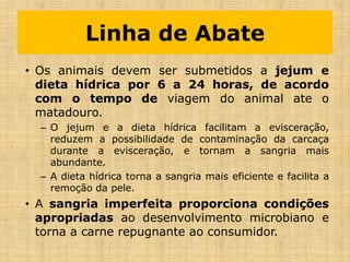 • Os animais devem ser submetidos a jejum e
dieta hídrica por 6 a 24 horas, de acordo
com o tempo de viagem do animal ate o
matadouro.
– O jejum e a dieta hídrica facilitam a evisceração,
reduzem a possibilidade de contaminação da carcaça
durante a evisceração, e tornam a sangria mais
abundante.
– A dieta hídrica torna a sangria mais eficiente e facilita a
remoção da pele.
• A sangria imperfeita proporciona condições
apropriadas ao desenvolvimento microbiano e
torna a carne repugnante ao consumidor.
Linha de Abate
 