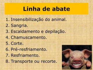 Linha de abate
1. Insensibilização do animal.
2. Sangria.
3. Escaldamento e depilação.
4. Chamuscamento.
5. Corte.
6. Pré-resfriamento.
7. Resfriamento.
8. Transporte ou recorte.
 