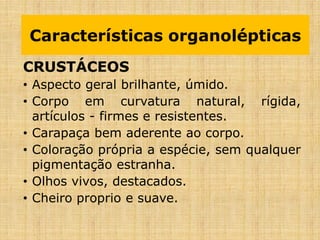 CRUSTÁCEOS
• Aspecto geral brilhante, úmido.
• Corpo em curvatura natural, rígida,
artículos - firmes e resistentes.
• Carapaça bem aderente ao corpo.
• Coloração própria a espécie, sem qualquer
pigmentação estranha.
• Olhos vivos, destacados.
• Cheiro proprio e suave.
Características organolépticasCaracterísticas organolépticas
 