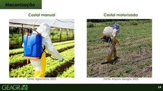 14
Costal manual Costal motorizada
Mecanização
Fonte: Agromania, 2025. Fonte: Arquivo Geagra, 2025.
 