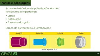 As pontas hidráulicas de pulverização têm três
funções muito importantes:
• Vazão
• Distribuição
• Tamanho das gotas
Pontas e calibragens
O bico de pulverização é formado por:
Fonte: Agrolink, 2025.
18
 