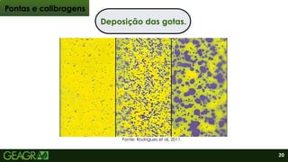 Deposição das gotas.
Fonte: Rodrigues et al, 2011.
Pontas e calibragens
20
 