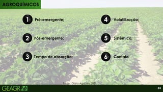 Produtos
Características
Pré-emergente;
1
Pós-emergente;
2
3 Tempo de absorção;
4 Volatilização;
5 Sistêmico;
6 Contato.
AGROQUÍMICOS
AGROQUÍMICOS
Fonte: Diário Agrícola, 2021.
24
 