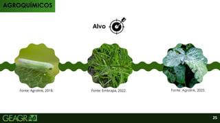 Alvo
AGROQUÍMICOS
Fonte: Agrolink, 2018. Fonte: Agrolink, 2025.
Fonte: Embrapa, 2022.
25
 